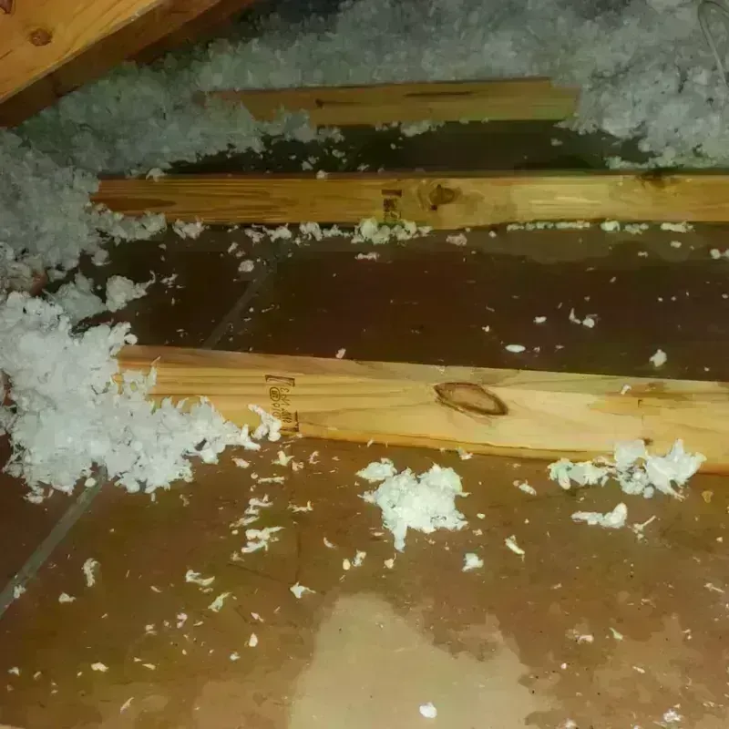 Attic Water Damage in Rains County, TX