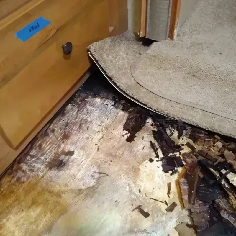 Best Wood Floor Water Damage Service in Rains County, TX